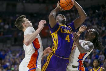 LSU forward Darius Days drives for the basket between Florida forward Colin Castleton, left, and Florida forward Anthony Duruji during Wednesday's game in Gainesville. (ALAN YOUNGBLOOD/Associated Press)