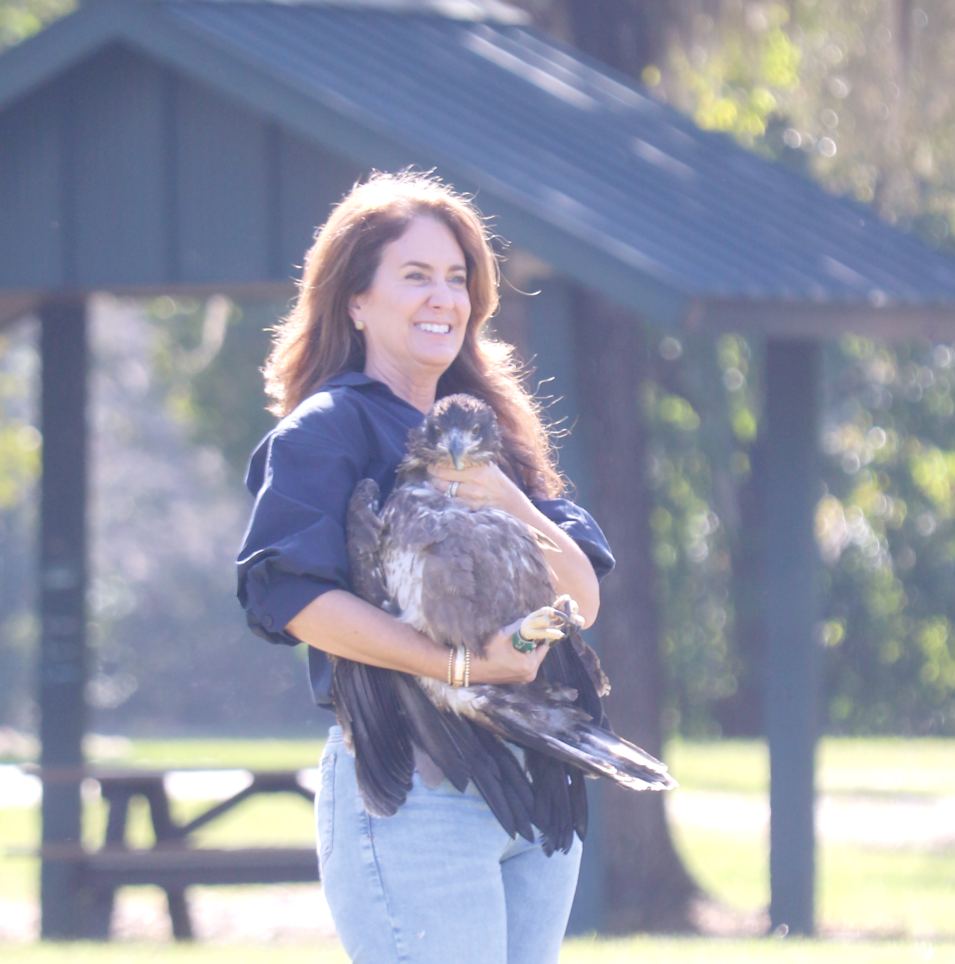 State Sen. Jennifer Bradley flashes a smile as she prepares to release a juvenile eagle that was rescued and rehabilitated into the wild near Alligator Lake on Wednesday afternoon. (TONY BRITT/Lake City Reporter)