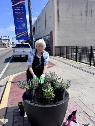 Jan Wheeler adds flowers to a planter along Marion Avenue for the Lake City Garden Club. Club members planted the new flowers, which will be red, white and blue, ahead of the country’s 250th anniversary celebration. (COURTESY)