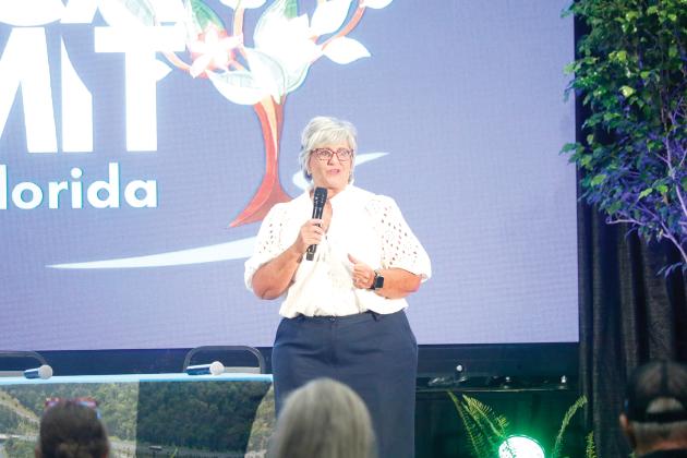 Lorie Vincent, the president of Acceleration by design LLC, the consulting firm that hosts Stand Up Rural America, opened the summit Tuesday at the Howard Center. (JAMIE WACHTER/Lake City Reporter)