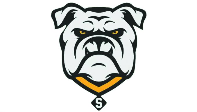 Suwannee Bulldogs