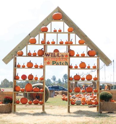 The entrance to Will’s Pumpkin Patch across 72nd Trace from the Publix in Live Oak. (JAMIE WACHTER/Lake City Reporter)
