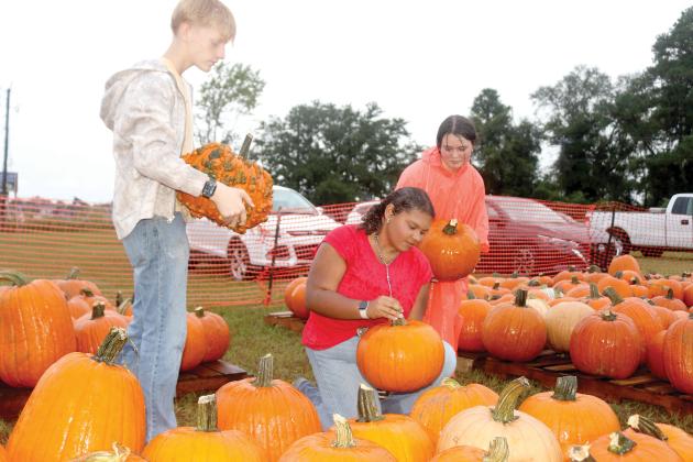 Grady Church (from left), 15, Macy Phillips, 16, and Alexa Aspenwall, 14, work on stacking pumpkins on a pallet for the local FFA Pumpkin Patch. (TONY BRITT/Lake City Reporter)