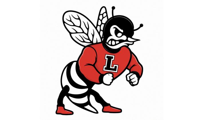 Lafayette Hornets