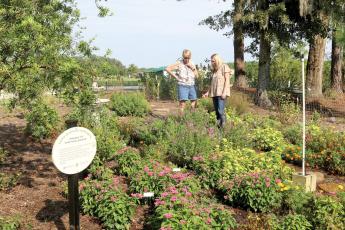 Krista Turner(right) and Judee Mundy look over plants in the Edible Ornamental Landscaping area at Hearthstone Botanical Gardens in Wellborn. (TONY BRITT/Lake City Reporter)