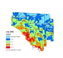 While some areas of North Florida received more than 11 inches of rain in July, the Suwannee River Water Management District received an average of 5.41 inches that month, less than the historical average. (COURTESY)