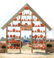 The entrance to Will’s Pumpkin Patch across 72nd Trace from the Publix in Live Oak. (JAMIE WACHTER/Lake City Reporter)