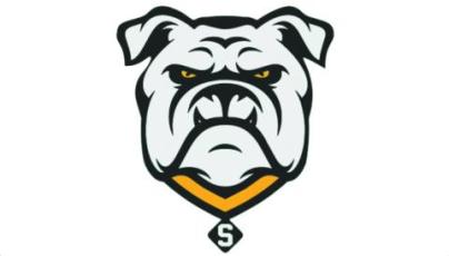 Suwannee Bulldogs