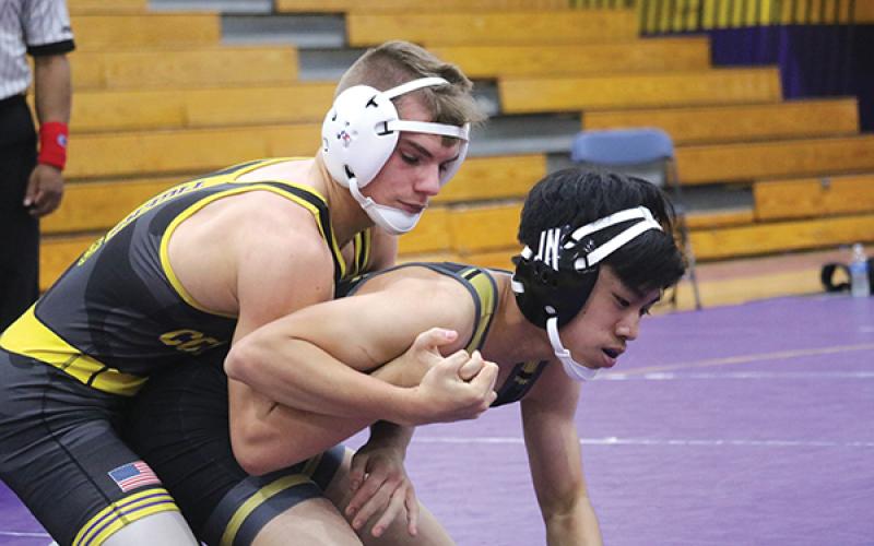 Columbia’s Alex McGuigan (left) wrestles in last year’s Tiger Duals. (FILE)
