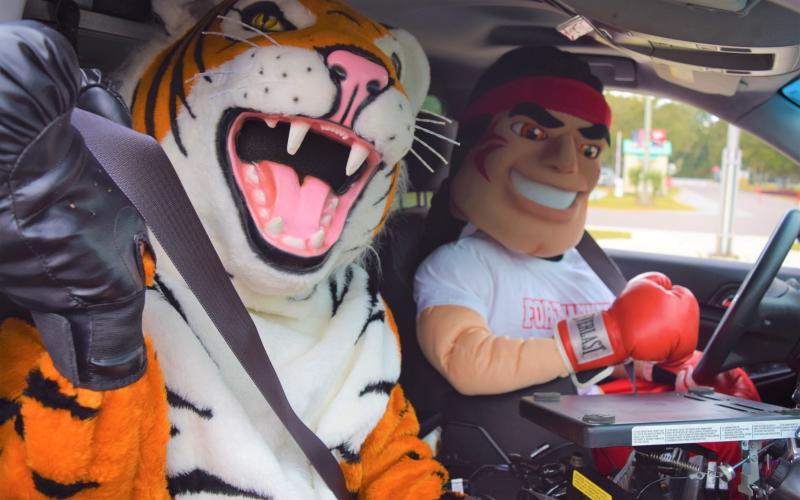 Mascots for Columbia High and Fort White High prepare for the “Battle of the Belts,” a friendly competition organized by FDOT. For its size, Columbia is the worst county in the state for seat-belt use, the agency says. (COURTESY)