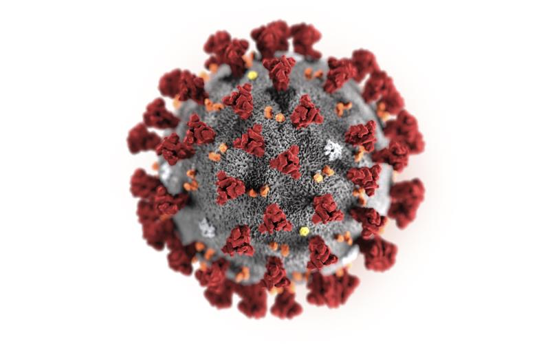 This illustration provided by the Centers for Disease Control and Prevention in January shows the novel coronavirus. (TRIBUNE NEWS SERVICE)