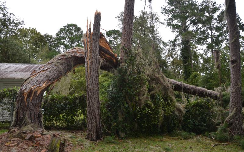 Hurricane Irma left its mark on Lake City in September 2017. (FILE)