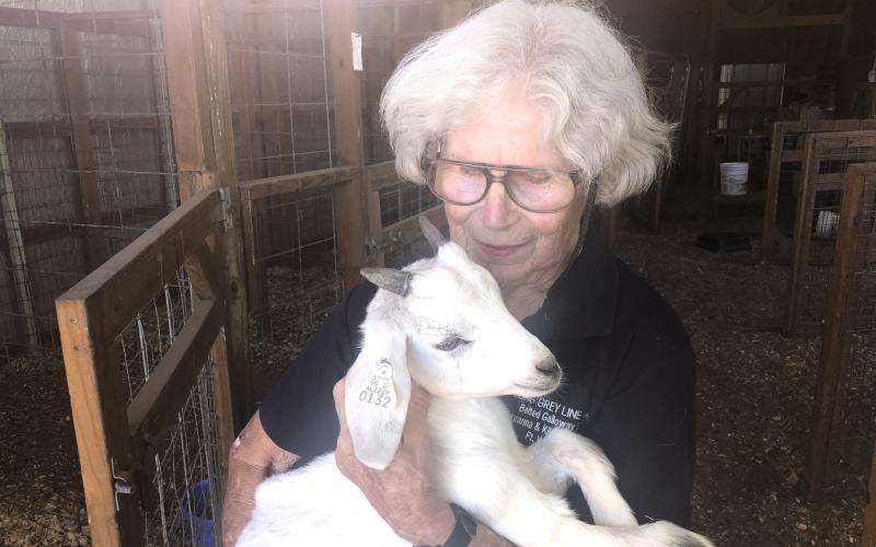 Martha Aitken, who owns a goat farm near Fort White with her husband, holds up a weeks-old kid. Americans haven’t generally been big on goat meat in the past, but with the beef, pork and chicken industries facing a shortage, that may change. (CARL MCKINNEY/Lake City Reporter)