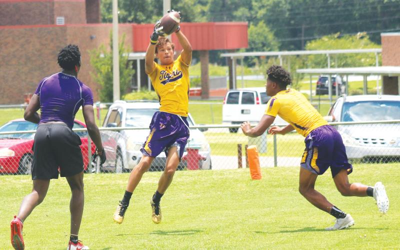 Columbia receiver Jace Hoskey makes a catch during practice last summer with Shyheim Brown (left) and Dante Brown (right) in coverage. (FILE)