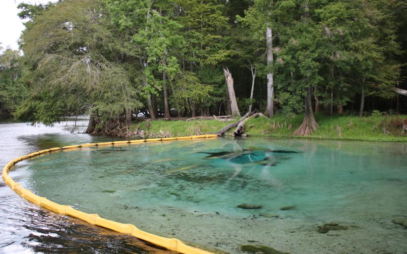 Rum Island Park is reopening Monday after being closed nearly a year for a $300,000 riverbank restoration project. (FILE)