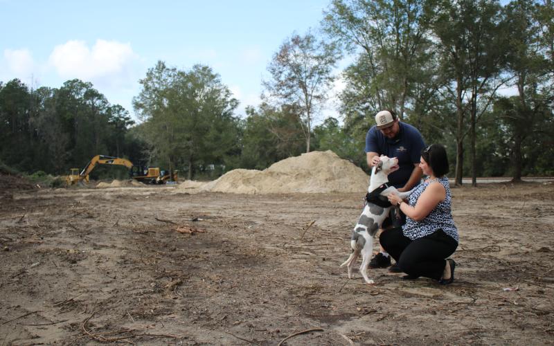 Jordan Regar, Lake City Humane Society Community Development manager, and Damen Modlinski, a humane society adoptions counselor, walk Misty, a Staffordshire Bull Terrier, on property that will serve as the humane society’s dog park. Misty, an 18-month-old dog, was found at the corner to two intersections tied to a post, is available to foster for possible adoption. (TONY BRITT/Lake City Reporter)