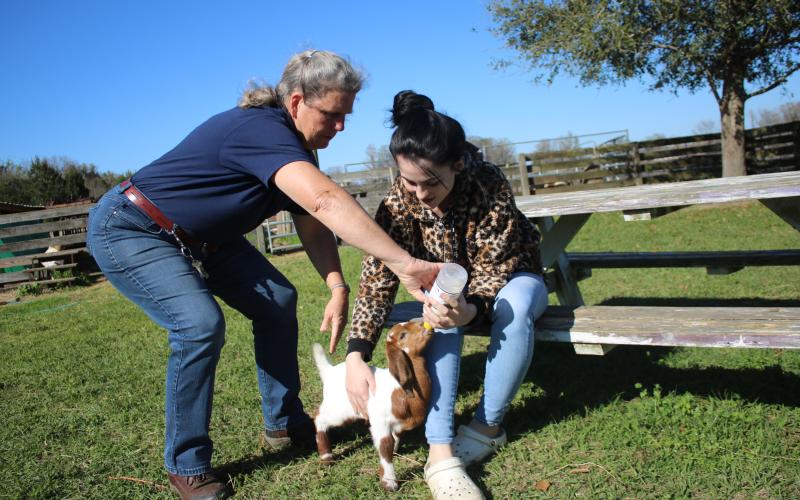 Patricia Starnes, the Columbia High School FFA advisor and agriculture teacher (left) and Kinsley Coleman, a ninth-grader and Columbia FFA Jr. Chapter member, bottle feed “Cletus”, a new born goat that’s about a month old, at the school’s land lab Monday afternoon. The school’s FFA program, which raises goats, has had 18 kids born in 2021. (TONY BRITT/Lake City Reporter)