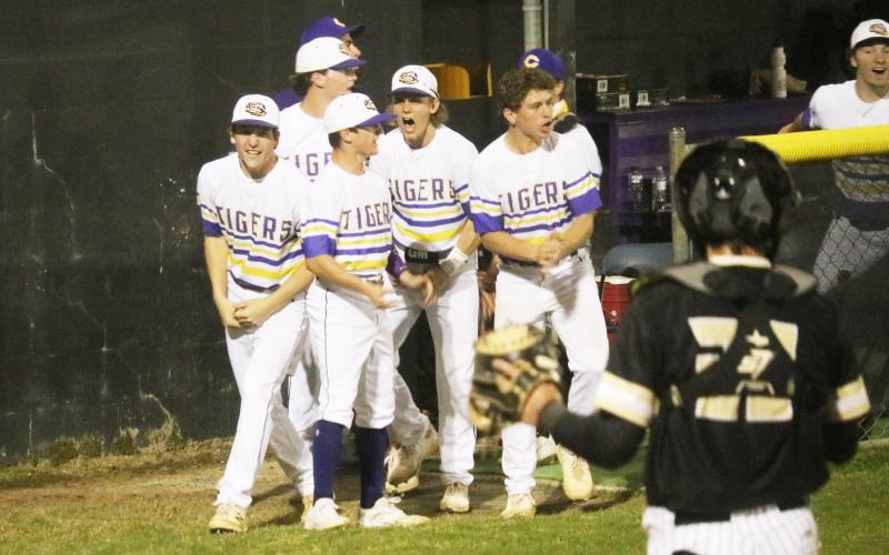 Columbia players celebrate in the dugout after Mason Gray’s go-ahead 2-RBI triple in the sixth inning against Buchholz on Tuesday night. (JORDAN KROEGER/Lake City Reporter)