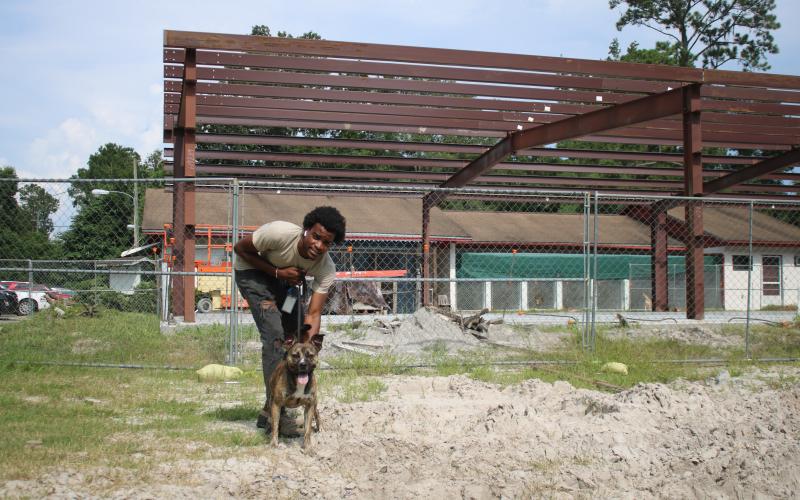 Jakwon Rhodes, a Lake City Humane Society employee, walks “Gunner” on the humane society campus Wednesday afternoon in front of the James Montgomery Animal Wellness Center Building, which has been under construction for weeks. (TONY BRITT/Lake City Reporter)