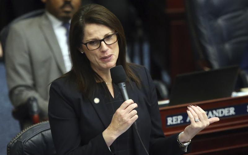 Rep. Tina Polsky, D-Boca Raton, debates during a session Tuesday March 10, 2020, in Tallahassee. (Associated Press)