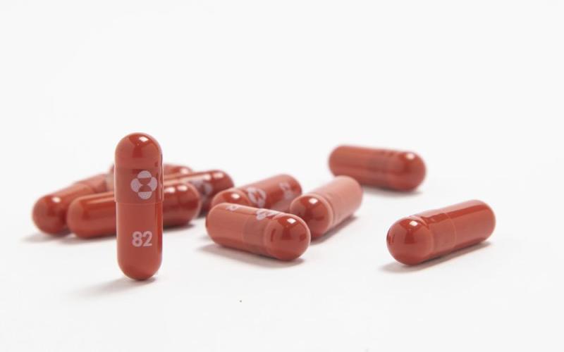 Merck’s new antiviral covid-19 medication, which U.S. health officials said Friday is effective but raises safety issues for pregnant women. (MERCK &amp; CO.)