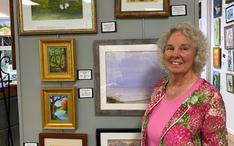 A collection of Carol Cieslik’s work is displayed in the entryway of the Columbia County Library’s downtown location. (COURTESY)