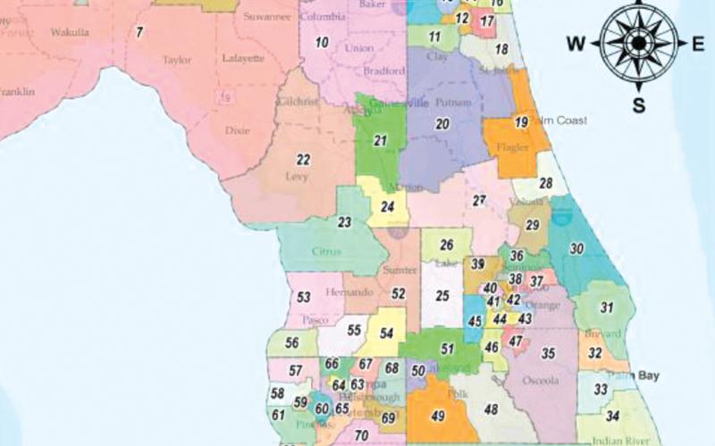 A proposed House district map, shown here, was advanced by a 13-7 party line vote. The map now heads to the Redistricting Committee for a Wednesday meeting. (COURTESY)