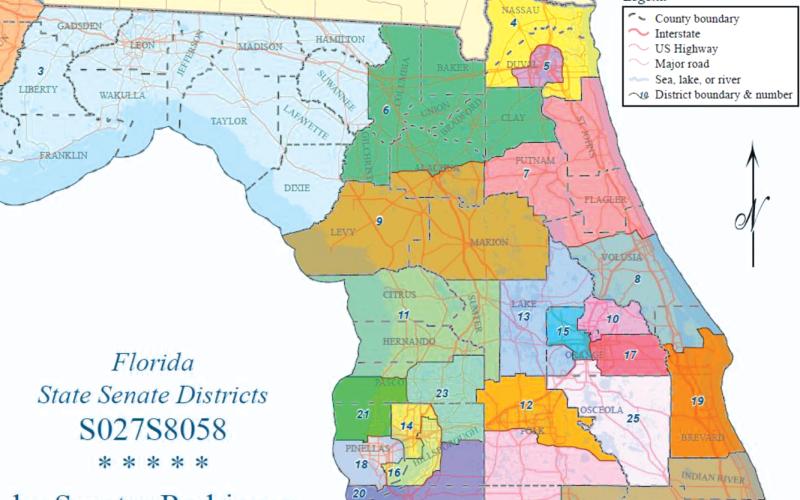 A proposed senate district map from Sen. Ray Rodrigues shows how Columbia and Suwannee Counties could be drawn. (COURTESY)
