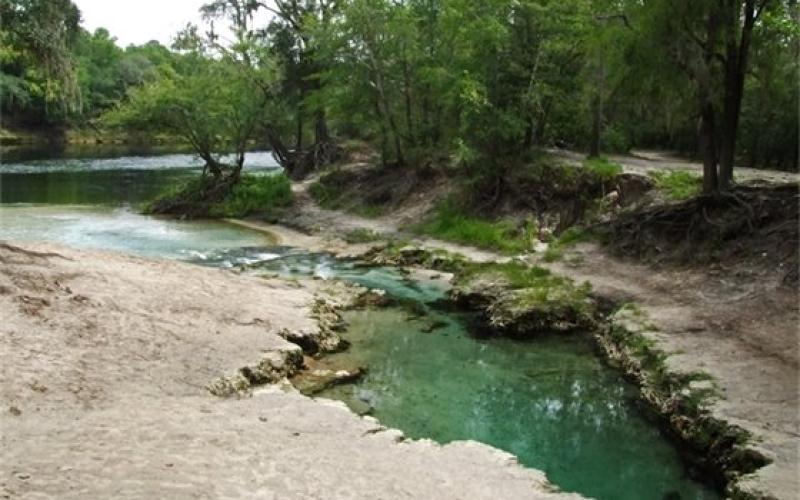 Telford Spring, shown here, will be sold to the Suwannee River Water Management District. (COURTESY)
