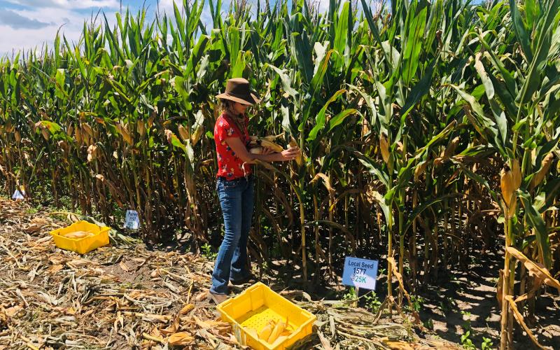 De Broughton and farmers from around north Florida recently formed a pact to use about 30 pounds of fertilizer less per acre of crops at an impromptu conference. (COURTESY)