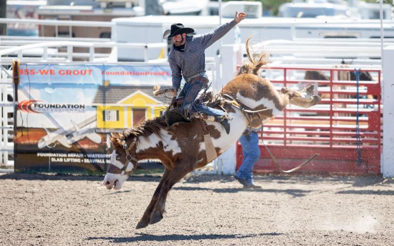 Riding high in the saddle, a cowboy masters his form during a saddle bronc ride at the Florida Gateway Pro Rodeo Sunday afternoon. (RAY CARPENTER/Special to the Reporter)
