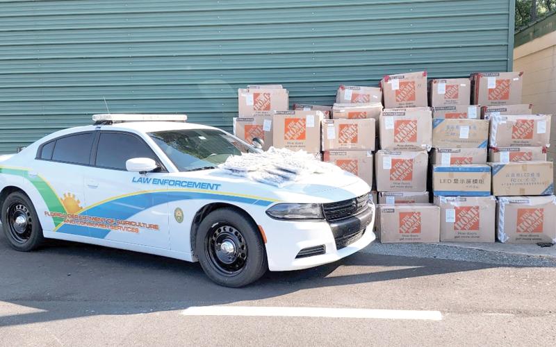 COURTESY The Florida Department of Agriculture and Consumer Services’ Office of Agricultural Law Enforcement arrested a Michigan man Wednesday for transporting 1,900 pounds of marijuana on Interstate 10 in Suwannee County. (COURTESY)