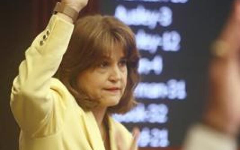 State Sen. Annette Taddeo asks for a vote during Florida Senate debate May 24 at the Capitol in Tallahassee. (PHIL SEARS/Associated Press)