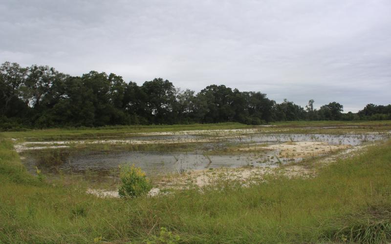 Columbia County officials are pumping water out of retention ponds near Old Country Club Road to an 11.5-acre pond in an attempt to alleviate flooding issues. (TONY BRITT/Lake City Reporter)