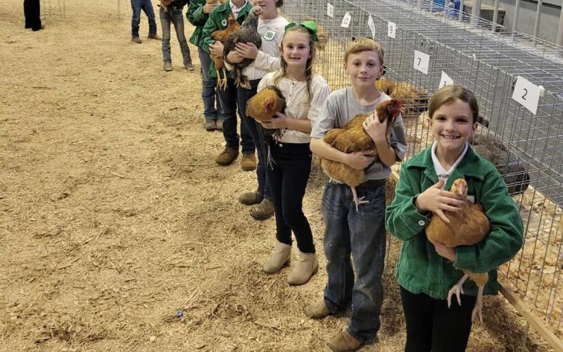 4-H Clover Buds (5 years of age) thru Senior 4-H members waiting for their chickens to be judged at the Quad Conty Chick-Chain Show in Madison. (COURTESY LAFAYETTE COUNTY 4-H)