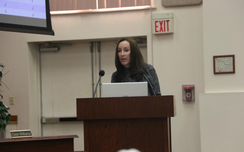 Dr. Molly White with Your ER Solutions discusses their plans with the Lake Shore Hospital Authority board Tuesday. (MORGAN MCMULLEN/Lake City Reporter)