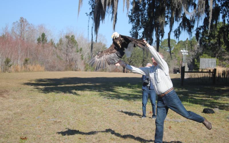 Chris Wynn, Florida Fish and Wildlife Conservation Commission Regional Director, releases a rehabilitated bald eagle into the wild on Tuesday morning at Alligator Lake Public Recreation area. (TONY BRITT/Lake City Reporter)