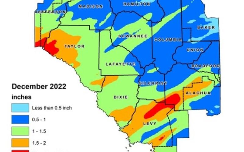 Rainfall was below average for December across the Suwannee River Water Management District’s 15-county area. (COURTESY)