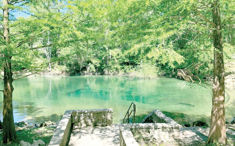 Visitors to Little River Springs park in Suwannee County will have to start paying a $5 daily admission fee, beginning May 5. (COURTESY)