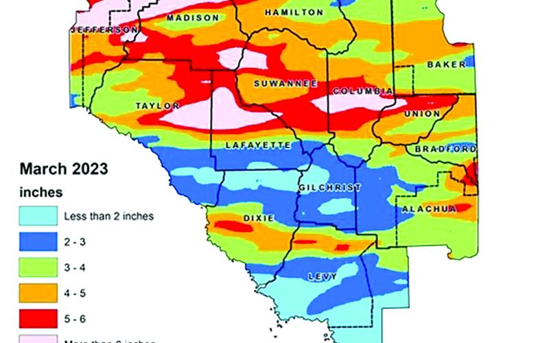 The Suwannee River Water Management District, on average, received below-normal rainfall in March, although some areas received more than six inches. (COURTESY)