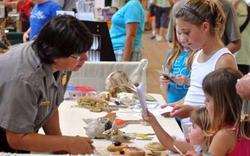 The Wild Amelia Nature Festival returns to Fernandina Beach on May 19-21. (COURTESY)