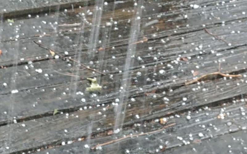A thunderstorm Thursday afternoon brought pea- to nickel-sized hail to parts of Lake City. (TONY BRITT/Lake City Reporter)