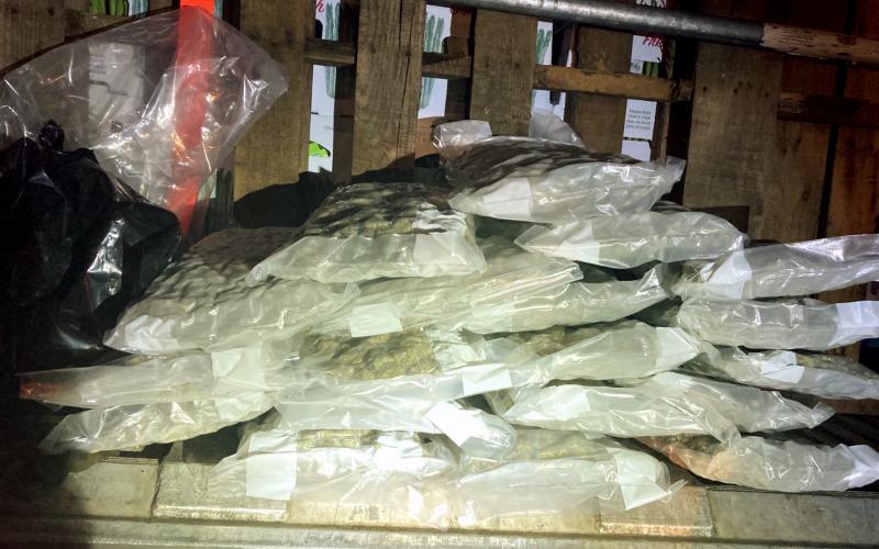 More than 43 pounds of marijuana were confiscated from a Michigan produce truck at an ag inspection station in Hamilton County on Saturday night. (COURTESY)