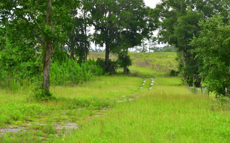 The Suwannee County Commission has decided to search for a new location for its next fire station instead of the property the county purchased in 2019 along U.S. Highway 129 north of Interstate 10. (ROB WOLFE/Special to the Reporter)