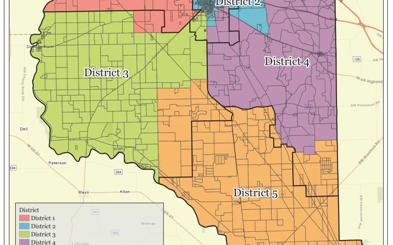 A third alternative map shows the proposed boundaries for the five districts in Suwannee County. (COURTESY)
