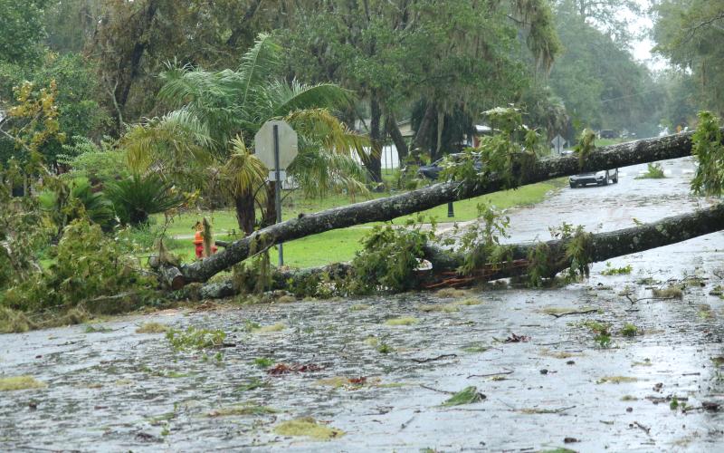 A tree blocks Tularosa Lane at the intersection with Lake Montgomery Avenue in Lake City on Wednesday afternoon following Hurricane Idalia. (J. WACHTER/Lake City Reporter)