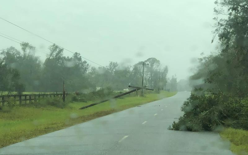 Power lines and trees have caused major outages across North Florida. (COURTESY SUWANNEE VALLEY ELECTRIC)