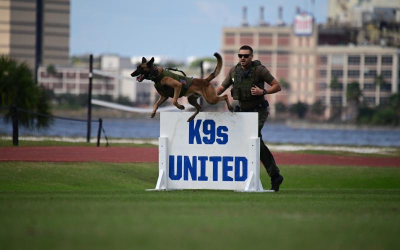 Cairo jumps over an obstacle as Columbia County Sheriff’s Office Corporal Matthew Waddington runs alongside him during the K9s United competition Saturday. (COURTESY)