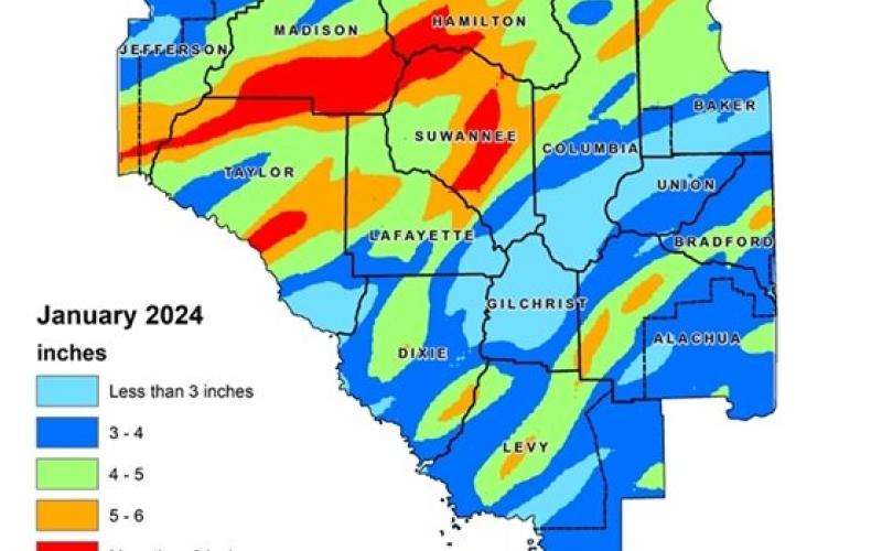 The Suwannee River Water Management District’s Hydrologic Conditions Report shows January was wetter than normal with areas in Hamilton and Suwannee counties receiving more than six inches of rain in the month. (COURTESY)