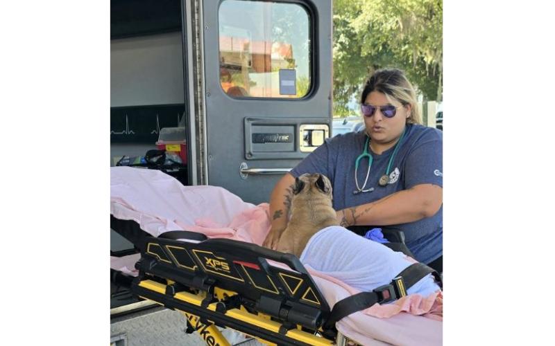 Century Ambulance paramedic Gyse Colon helps take care of a dog, which was in distress Friday after its owner was in a crash on Interstate 75. Colon’s quick thinking led to the dog being rushed to Addison’s Animal Hospital, where it went into emergency surgery. (COURTESY)